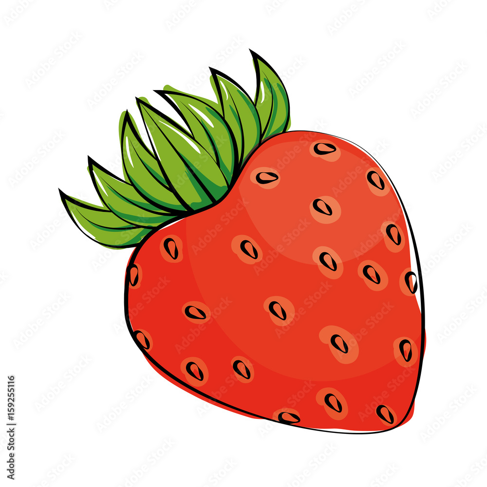 strawberry fruit icon over white background colorful design vector illustration strawberry fruit icon over white background colorful design vector illustration
