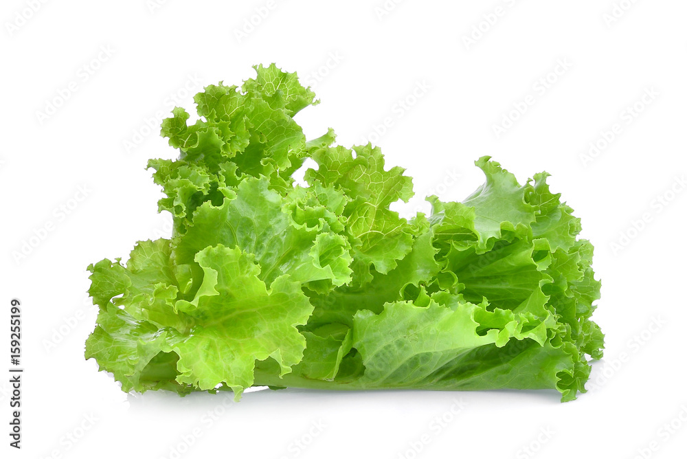 fresh green lettuce salad leaves isolated on white background. fresh green lettuce salad leaves isolated on white background.