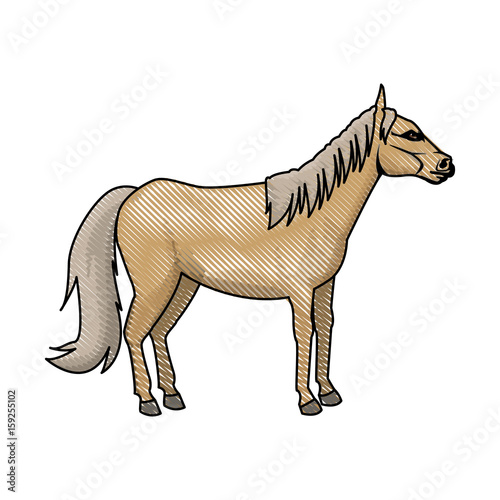 horse animal mammal nature equine icon vector illustration