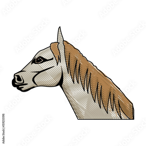 horse animal mammal nature equine icon vector illustration
