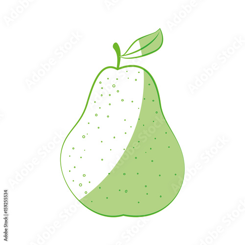 pear fruit icon over white background vector illustration