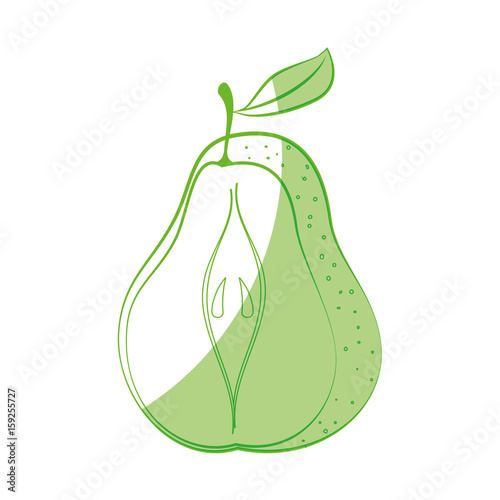 pear fruit icon over white background vector illustration