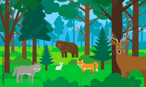 beautiful forest landscape with animals