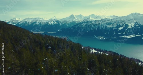 Luftaufnahme über verschneitem Tannenwald in Richtung Interlaken, mit Schneebergen im Hintergrund