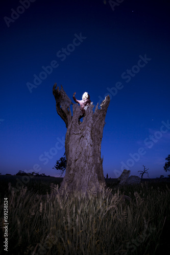 Dead Tree at Night Landscape