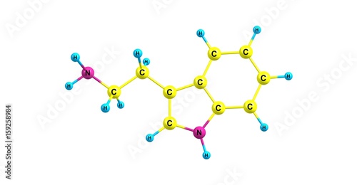 Tryptamine molecular structure isolated on white photo