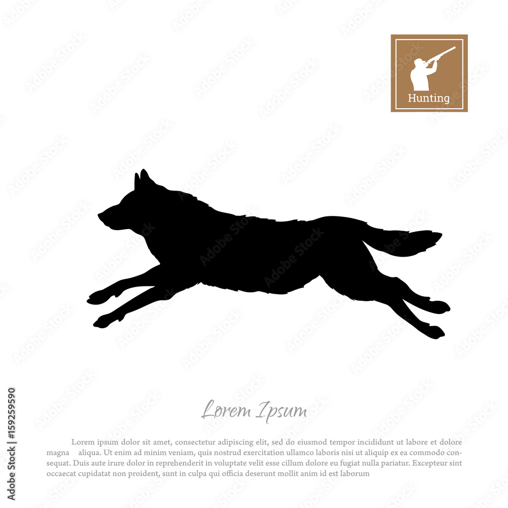 Fototapeta premium Black silhouette of a running wolf on a white background. Forest animals