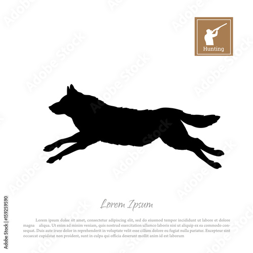 Black silhouette of a running wolf on a white background. Forest animals