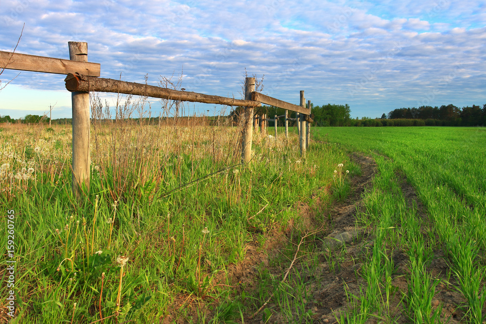 Fencing for horses in a field in a village on nature in summer Fencing for horses in a field in a village on nature in summer