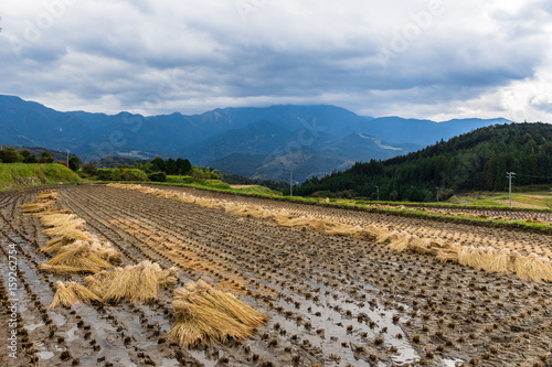 View to the mountains over the rice field rural landscape captured in Magome authentic Japanese village during the sunny day