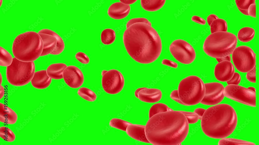 Red blood cell flowing in vein or artery on green screen. 3d render 4k animation. Healthcare and medical zoom concept. Red blood cell flowing in vein or artery on green screen. 3d render 4k animation. Healthcare and medical zoom concept.