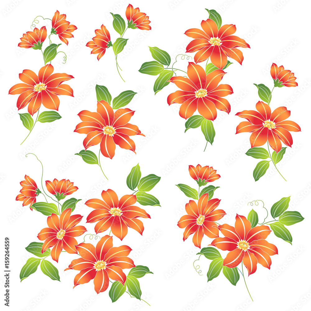 18 Best 鉄線花 Images Stock Photos Vectors Adobe Stock 18 Best 鉄線花 Images Stock Photos Vectors Adobe Stock