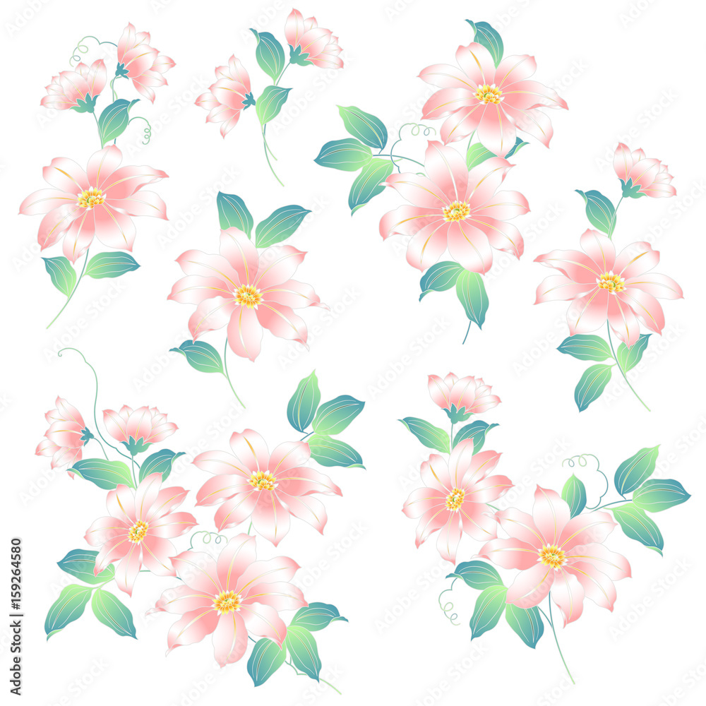 18 Best 鉄線花 Images Stock Photos Vectors Adobe Stock