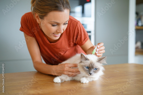 Woman injecting cat product to prevent from fleas photo