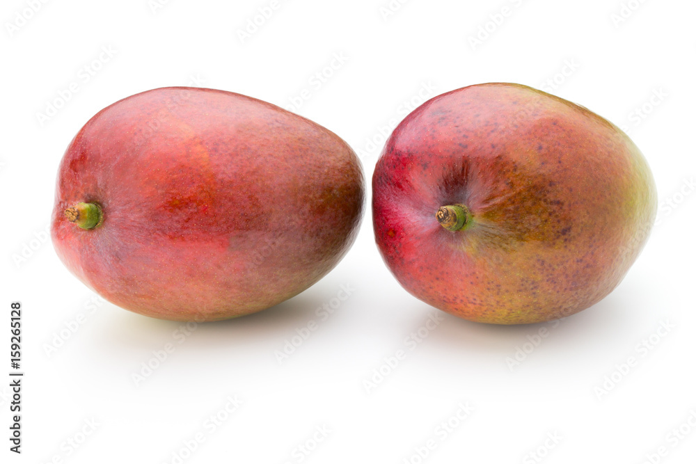 Mango fruit isolated on white background . Mango fruit isolated on white background .
