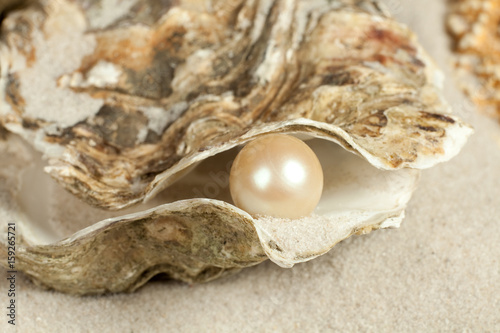 Pearl in oyster