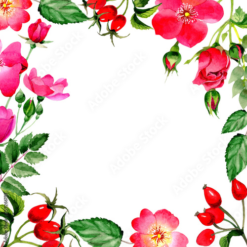 Wildflower rose arkansana flower frame in a watercolor style isolated.