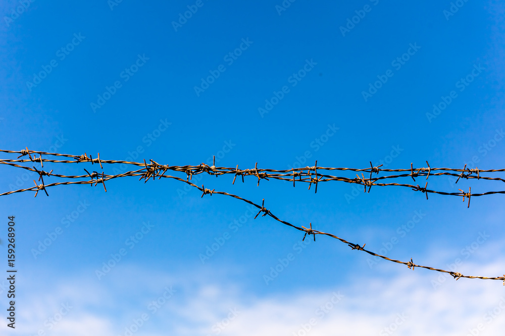 old rusty barbed wire with bright blue  background