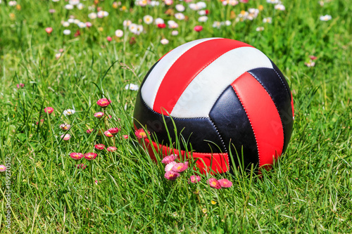  beautiful leather ball lies on the green lawn with flowers