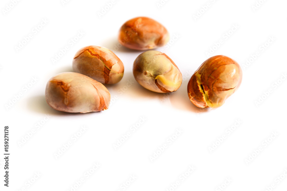 jackfruit seeds isolated on white background. jackfruit seeds isolated on white background.