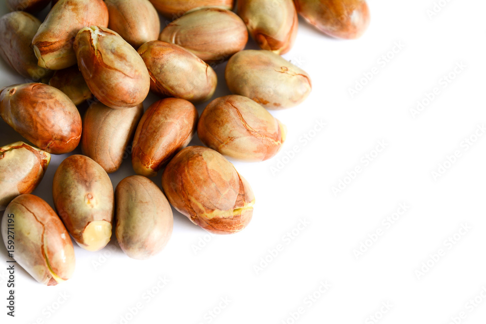 jackfruit seeds isolated on white background. jackfruit seeds isolated on white background.