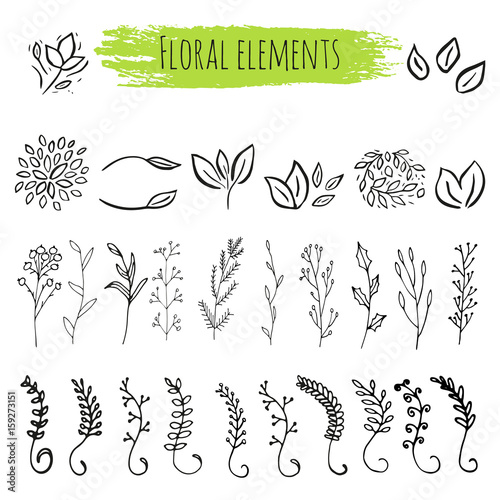 Vector floral with leaves, branches, plant elements