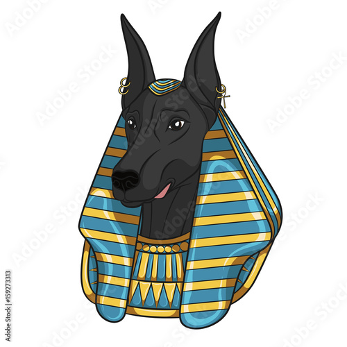 Color vector image Anubis. Isolated object on white background.
