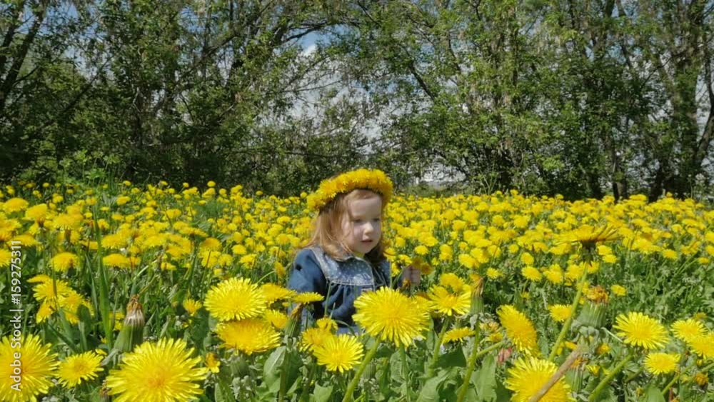 A beautiful, cheerful girl sits in dandelions. Children and nature. Slow motion. A beautiful, cheerful girl sits in dandelions. Children and nature. Slow motion.