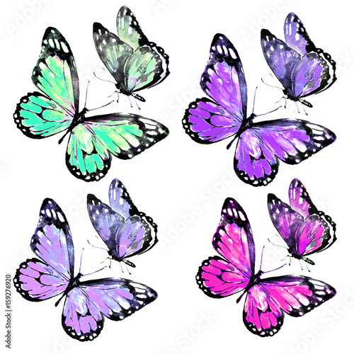 beautiful color butterflies,watercolor,isolated on a white © aboard