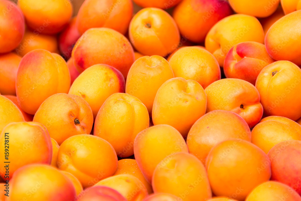 Apricots background, close up of apricots on a market