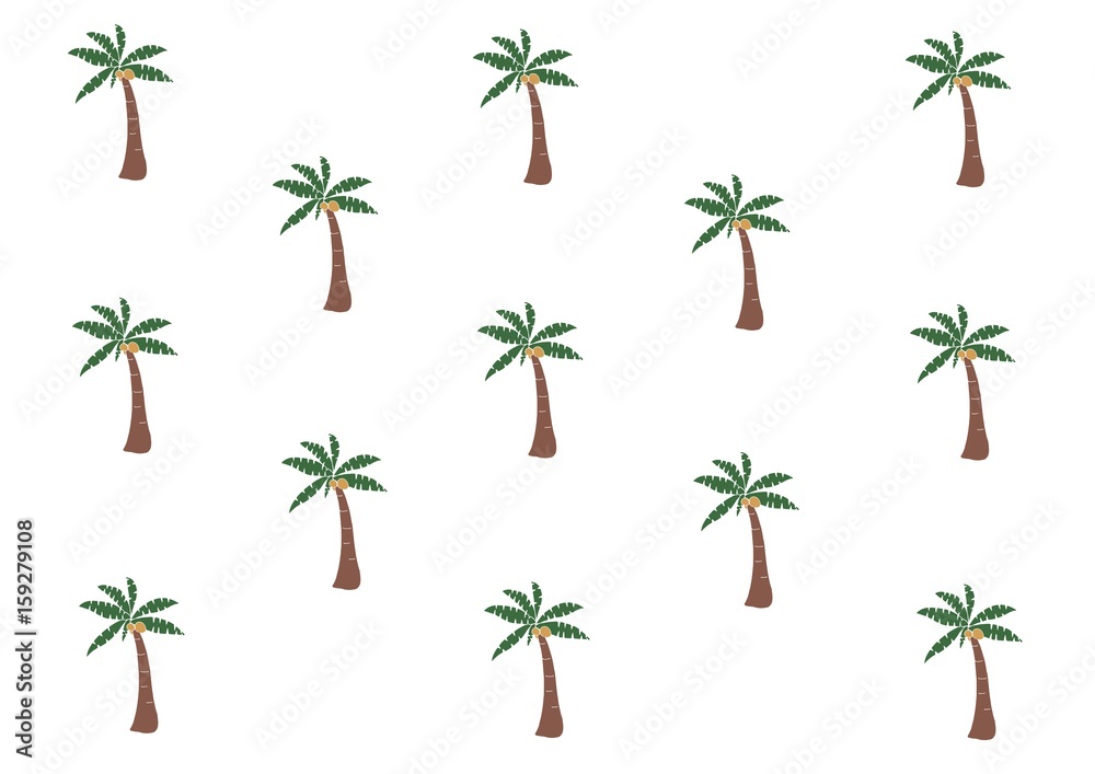 ヤシの木 ヤシの木