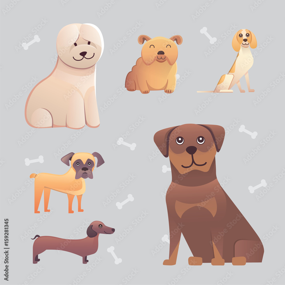 Group of purebred dogs. Illustration for dog training courses, breed club landing page and corporate site design