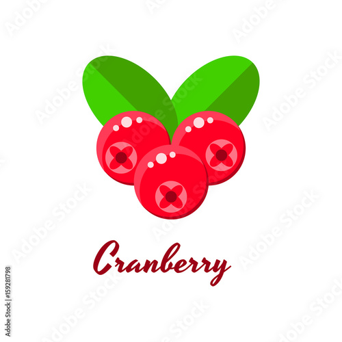 ector illustration, cranberries, forest red berries