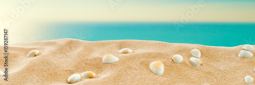 On the Beach - Sand dune with shells in front of the beautiful sea; vintage stylized