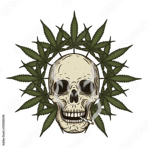Rastaman skull with cannabis leafs. Vector illustration.