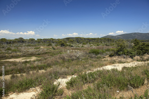 Photos maremma