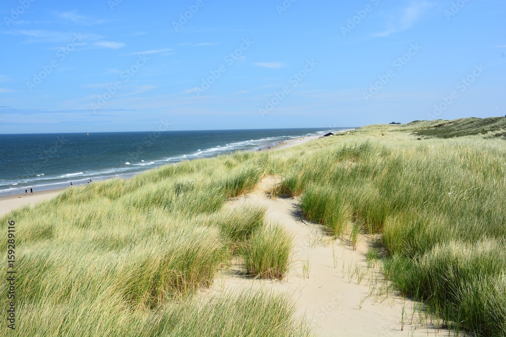 Düne StockFoto Adobe Stock