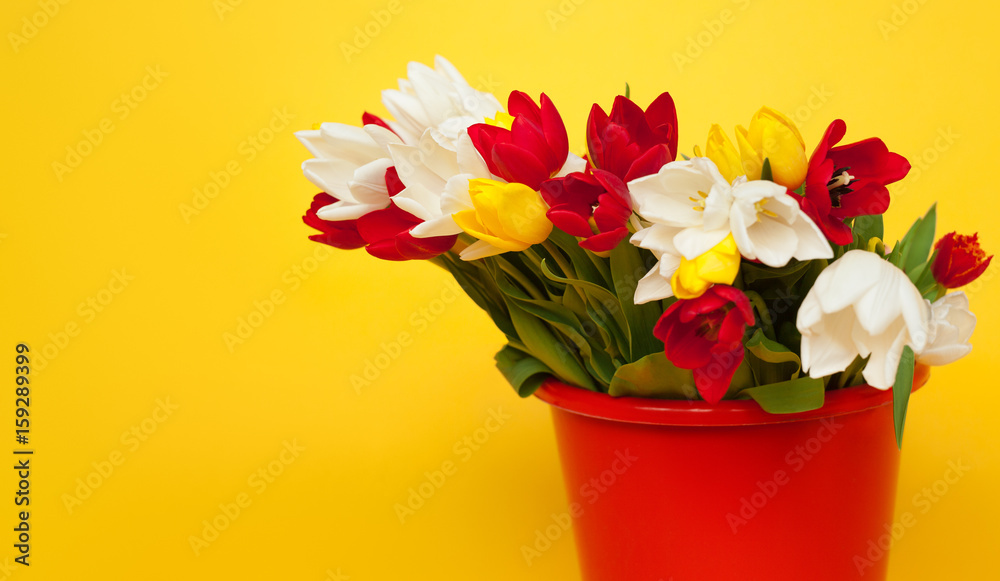 Bucket with fresh tulips on yellow