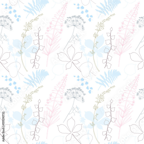 Vector floral seamless pattern  with  fireweed, chicory, dill flowers and fer...