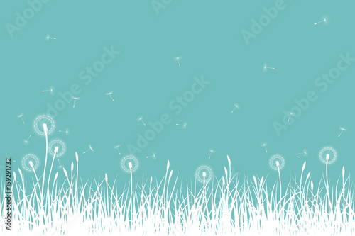 Grass silhouettes with dandelion flowers and seeds, vector illustration.