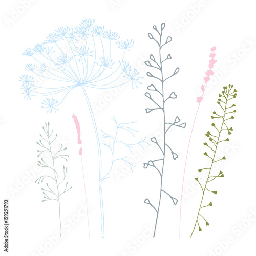 Meadow grasses, herbs and flowers silhouettes.