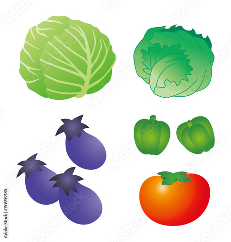 野菜のイラスト キャベツ レタス ナスビ ピーマン トマト Stock Illustration Adobe Stock 野菜のイラスト キャベツ レタス ナスビ ピーマン トマト Stock Illustration Adobe Stock