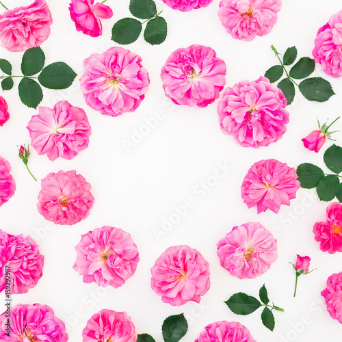 Wreath frame made of purple roses and leaves on white background. Flat lay, top view. Floral round composition of pink flowers