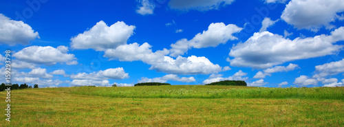 Field with green grass and blue sky with clouds.