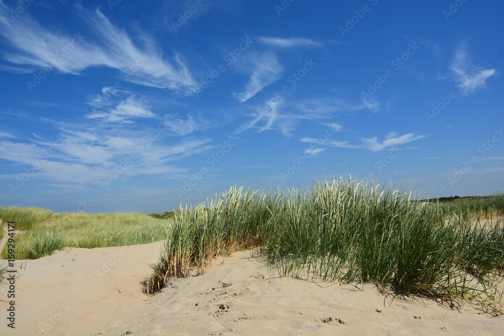 Dünen Strand mit Düne Gras in Texel Holland an der Nordsee. Dünen Strand mit Düne Gras in Texel Holland an der Nordsee.