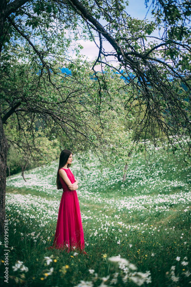 Beautiful girl with long hair in pink red dress in daffodil field, blooming narcissus. Beautiful girl with long hair in pink red dress in daffodil field, blooming narcissus.