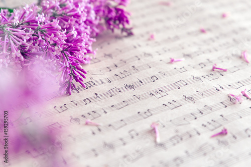 Light purple lilac flower half frame on music sheet as a background