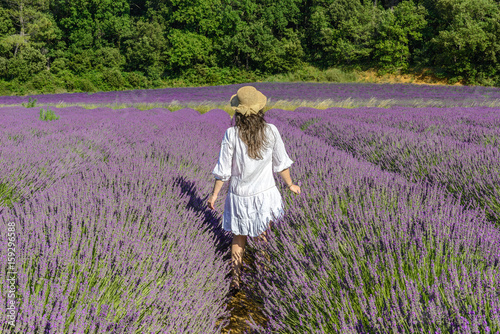 Woman in a lavender field in Valensole Plateau, Provence, France