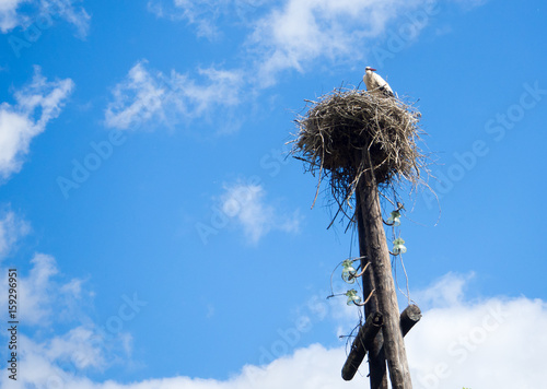 the stork nest on the old post