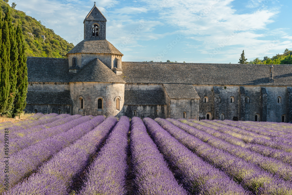 Senanque abbey with a lavender field, Provence, France - obrazy, fototapety, plakaty 